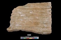 藏品(方解石)的圖片